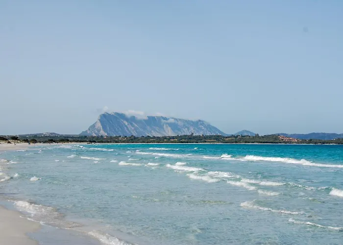 La Terrazza Sul Mare San Teodoro